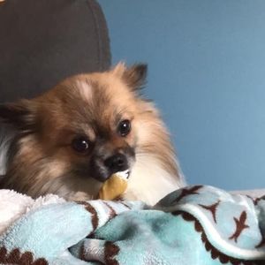 Meet your Posher, Justin